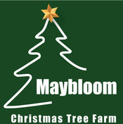Maybloom Christmas Tree Farm