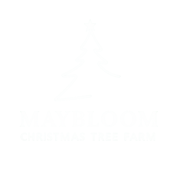 Maybloom Christmas Tree Farm